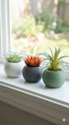 Inch Succulent Planter Pot Round Minimalist Desk Indoor Cactus 3D Printed New. Price: $11.99.