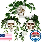 Rimcereal 3 Pcs Skull Planter Skeleton Wall Hanging Pot Gothic Spooky He New. Price: $48.16.