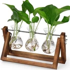 Yibot Propagation Stations,plant Terrarium With Retro Wooden Stand, Unique Open. Price: $16.10.