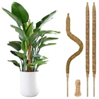 3 Pack Moss Monstera Plant Support, 28 Inch Bendable Poles For Clim... New. Price: $17.30.