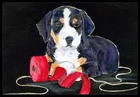 Carolines Treasures 18 X 27 In. Entlebucher Mountain Dog Indoor Outdoor Doormat New. Price: $9.00.