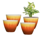 Lesoasis Plant Pack Of 4, 8 Inch Plastic Flower Pots, Modern Glossy Finishi. Price: $46.08.